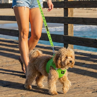 EcoBark Step In Dog Harness - XXXS to Small Breeds- Reflective Soft Mesh Harness for Teacup, Small Dogs and Puppies / Lime Green