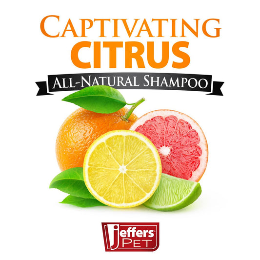Jeffers Pet Captivating Citrus All-Natural Flea Bite Relief Shampoo for Dogs and Cats