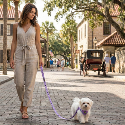 EcoBark Step In Dog Harness - XXXS to Small Breeds- Reflective Soft Mesh Harness for Teacup, Small Dogs and Puppies / Lavender