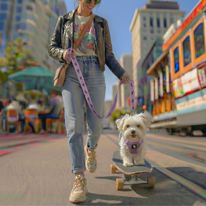 EcoBark Step In Dog Harness - XXXS to Small Breeds- Reflective Soft Mesh Harness for Teacup, Small Dogs and Puppies / Lavender