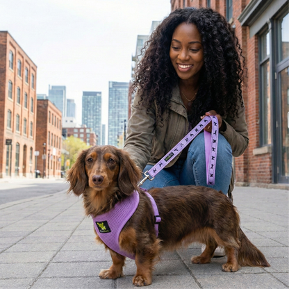 EcoBark Lavender Dog Harness - Over-the-Head Soft Mesh Vest Halter for XS to Medium Breed Dogs