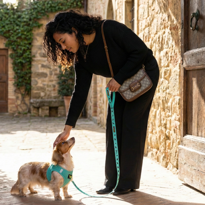 EcoBark Step In Dog Harness - XXXS to Small Breeds- Reflective Soft Mesh Harness for Teacup, Small Dogs and Puppies / Mint Turquoise