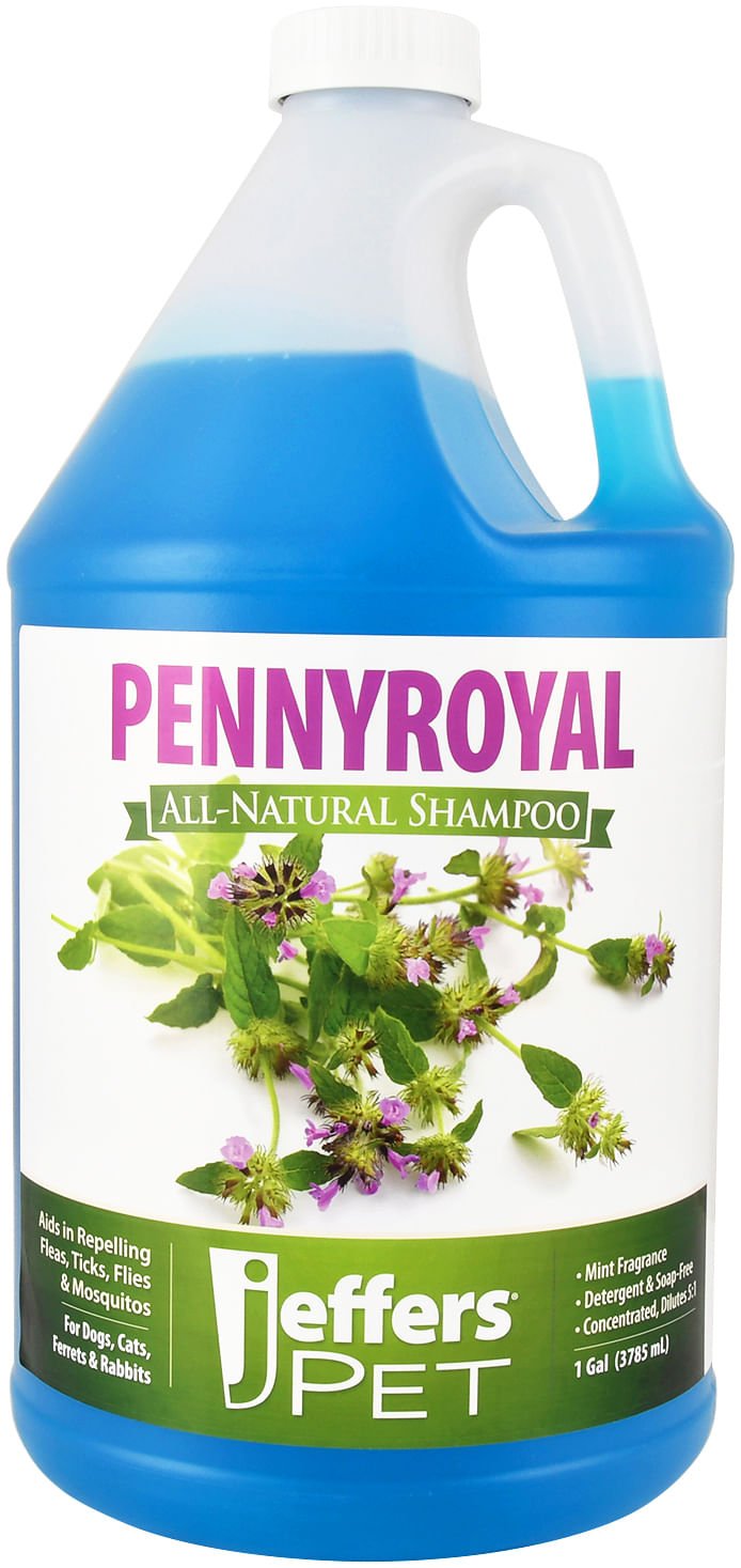 Jeffers Natural Flea & Tick Pennyroyal Dog Shampoo - Aids in Repelling Fleas, Ticks, Flies & Mosquitos