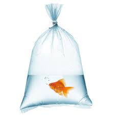 PLASTIC BAGS