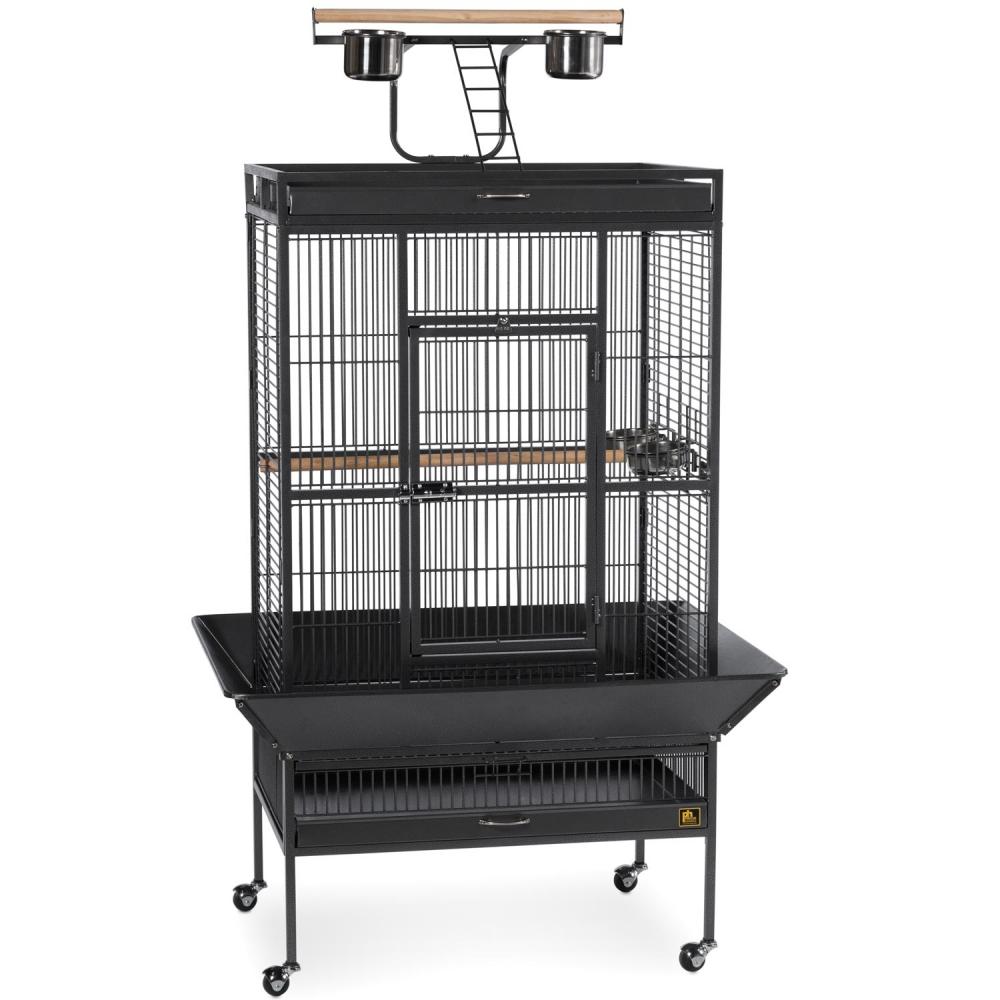 Large Select Wrought Iron Play Top Bird Cage