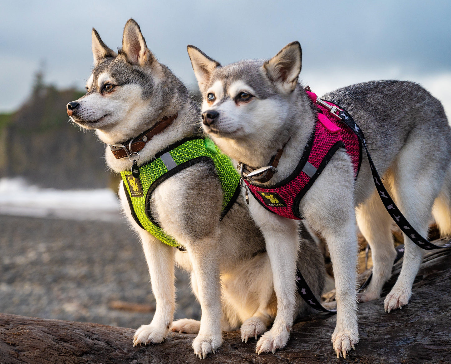 EcoBark Step In Dog Harness - XXXS to Small Breeds- Reflective Soft Mesh Harness for Teacup, Small Dogs and Puppies / Neon Green Sport