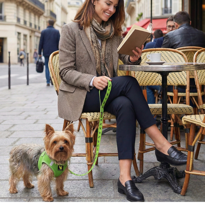 EcoBark Step In Dog Harness - XXXS to Small Breeds- Reflective Soft Mesh Harness for Teacup, Small Dogs and Puppies / Lime Green