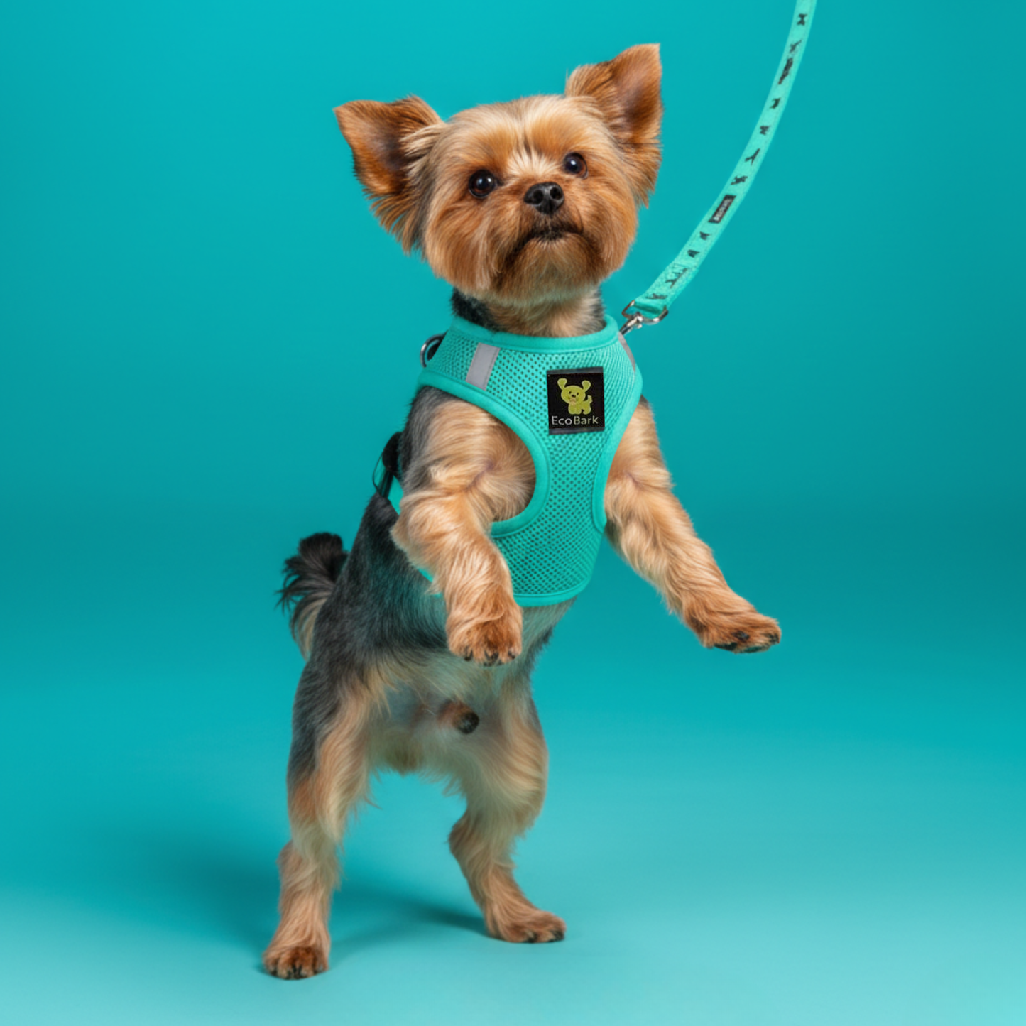 EcoBark Step In Dog Harness - XXXS to Small Breeds- Reflective Soft Mesh Harness for Teacup, Small Dogs and Puppies / Mint Turquoise