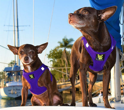 EcoBark Step In Dog Harness - XXXS to Small Breeds- Reflective Soft Mesh Harness for Teacup, Small Dogs and Puppies / Purple