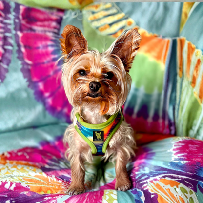 EcoBark Step In Dog Harness - XXXS to Small Breeds- Reflective Soft Mesh Harness for Teacup, Small Dogs and Puppies / Tie-dye