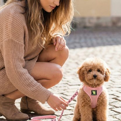 EcoBark Baby Pink Dog Leash - Comfort Grip Padded Leash- 4 ft, 5ft, and 6ft Leash