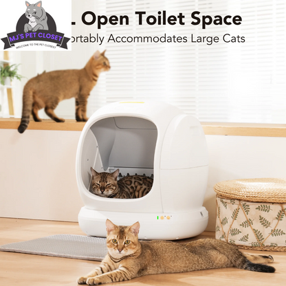 Smart Self-Cleaning Cat Litter Box with APP Control and Safety Features