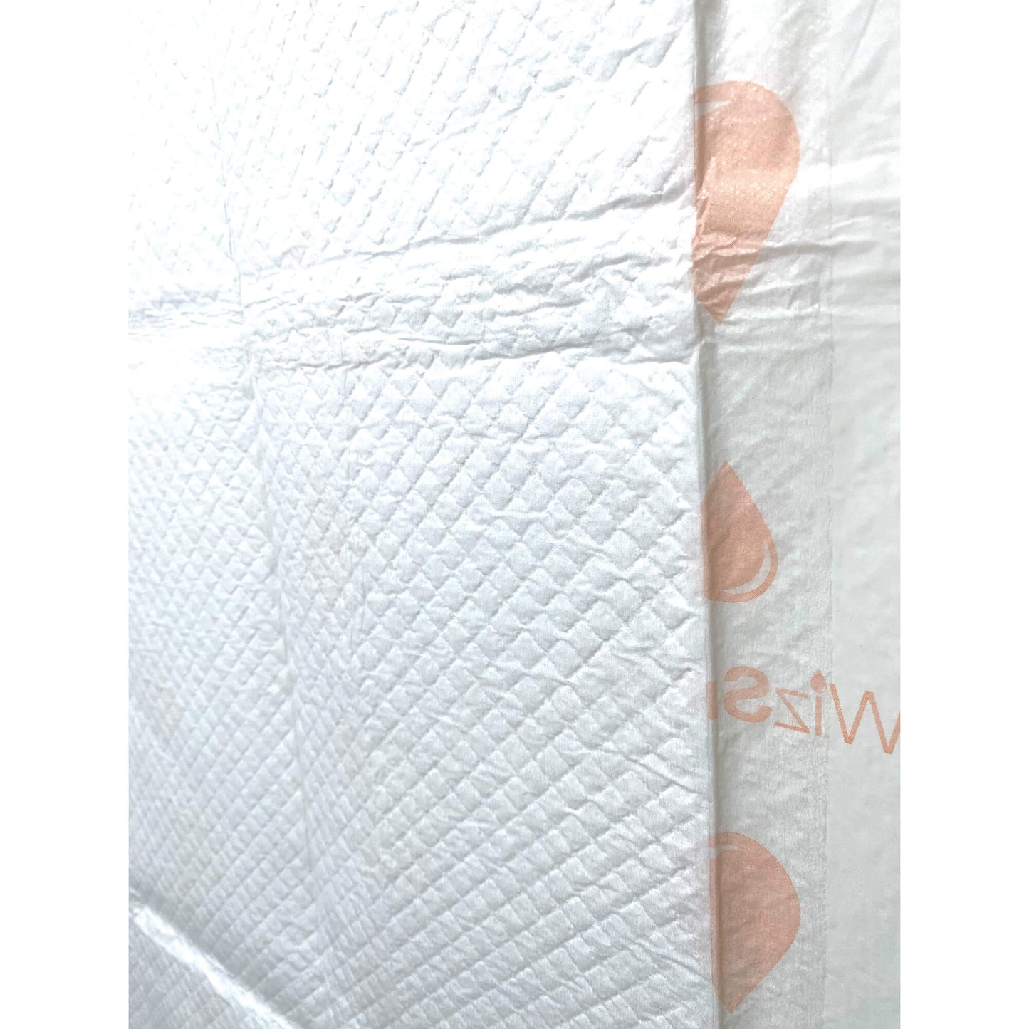 WizSmart Essentials Training Pads with Attractant for Dogs & Puppies, XL