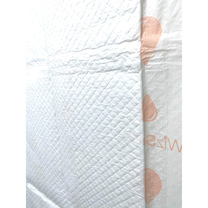 WizSmart Essentials Training Pads with Attractant for Dogs & Puppies, XL