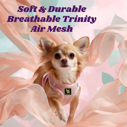 EcoBark Step In Dog Harness - XXXS to Small Breeds- Reflective Soft Mesh Harness for Teacup, Small Dogs and Puppies / Baby Pink